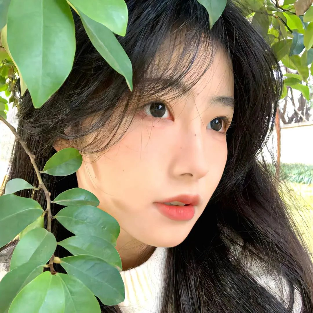 所以,我就推你了
